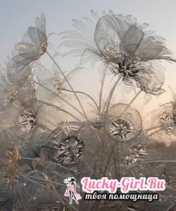Цветы из пластиковых бутылок своими руками